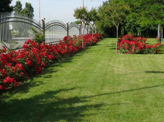 Villa Giusy B&B Cesena Luaran gambar
